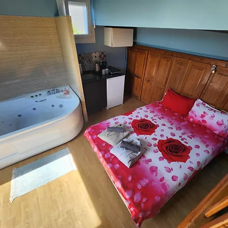 Apartman Bleu Jaccuzi Sevran